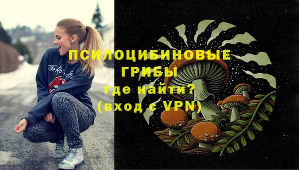spice Белокуриха
